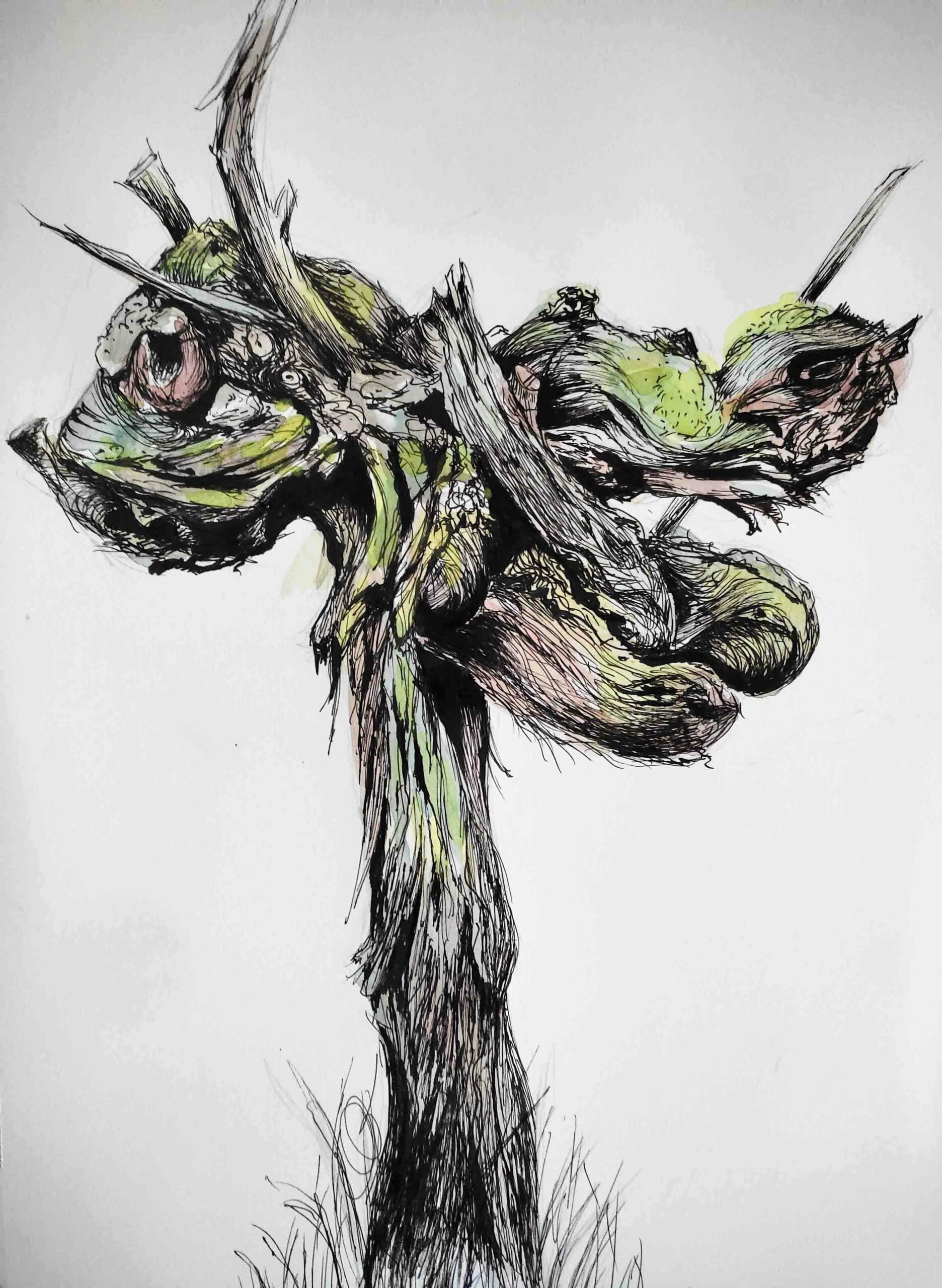 La grenouille