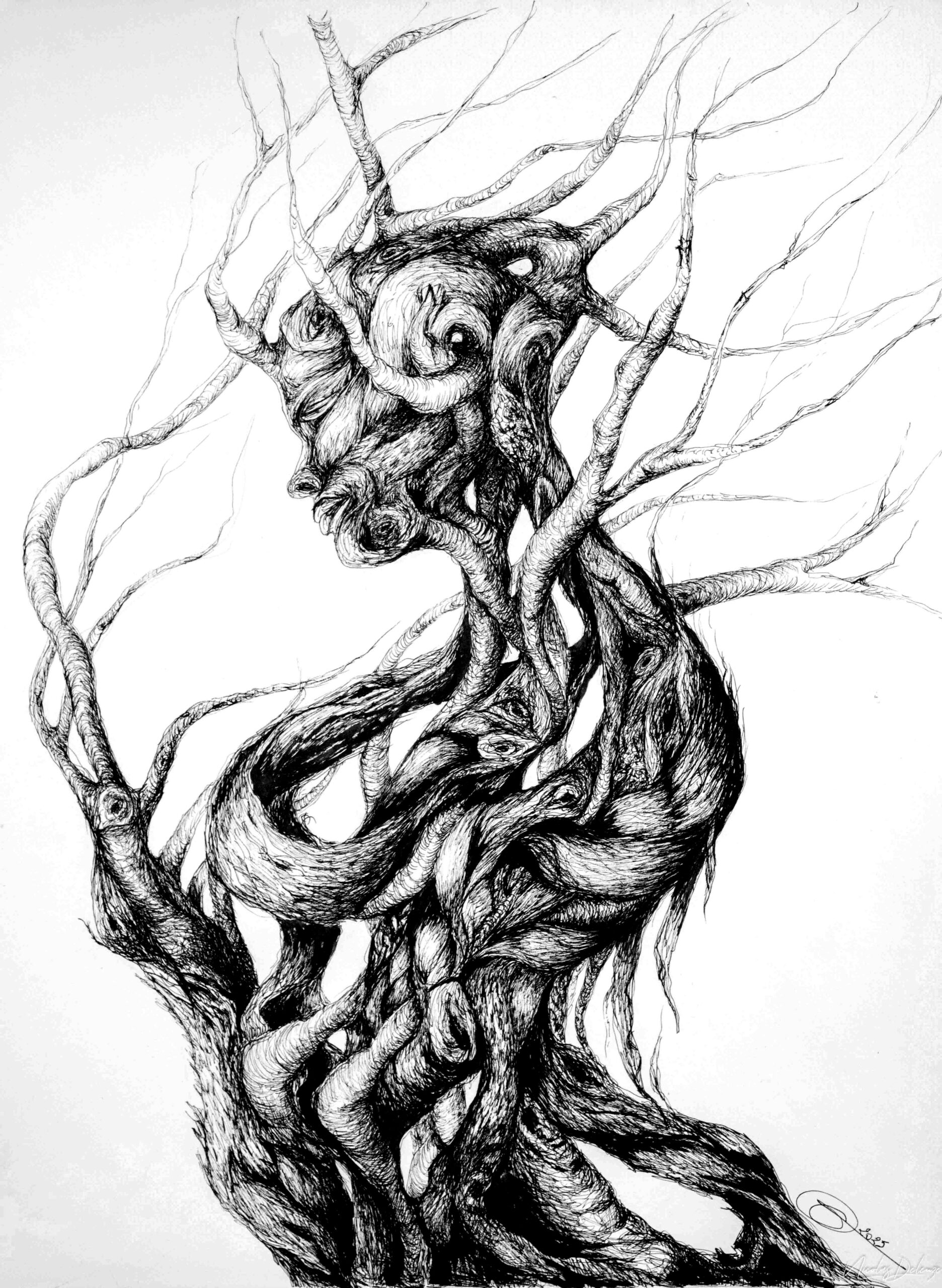 Enlacés